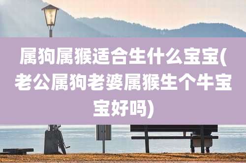 属狗属猴适合生什么宝宝(老公属狗老婆属猴生个牛宝宝好吗)