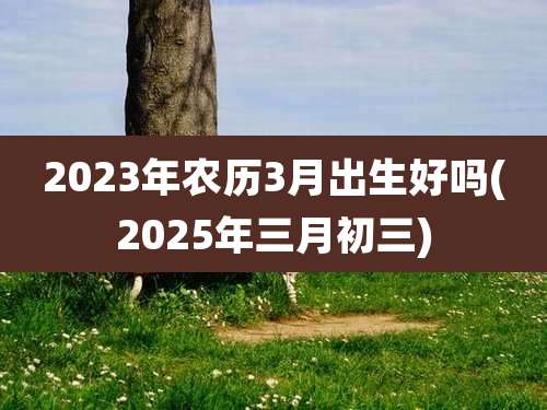 2023年农历3月出生好吗(2025年三月初三)
