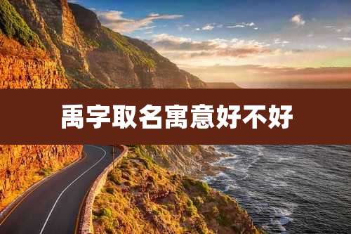 禹字取名寓意好不好