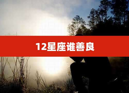 12星座谁善良