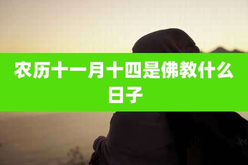 农历十一月十四是佛教什么日子