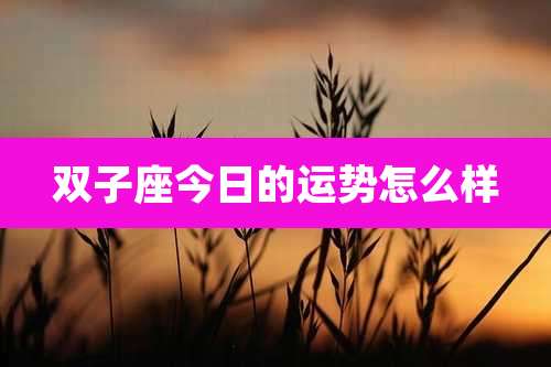 双子座今日的运势怎么样