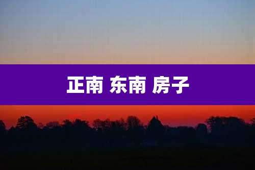 正南 东南 房子