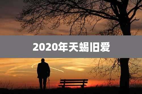2020年天蝎旧爱