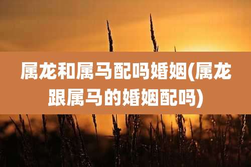 属龙和属马配吗婚姻(属龙跟属马的婚姻配吗)