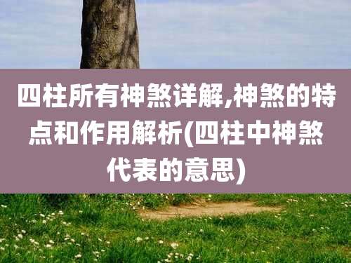 四柱所有神煞详解,神煞的特点和作用解析(四柱中神煞代表的意思)