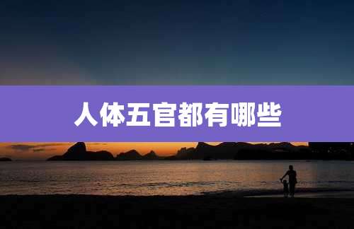 人体五官都有哪些