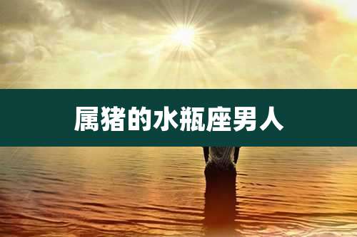 属猪的水瓶座男人