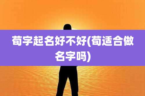 荀字起名好不好(荀适合做名字吗)