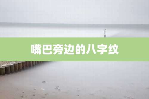 嘴巴旁边的八字纹