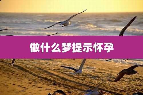 做什么梦提示怀孕