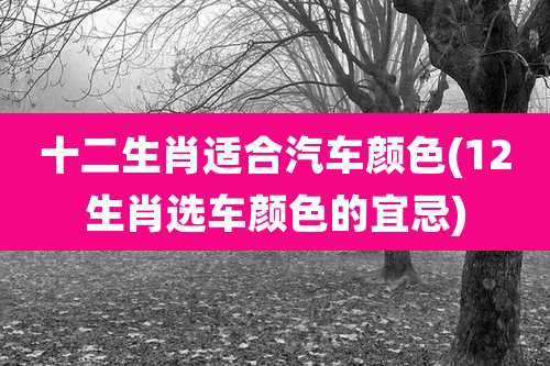 十二生肖适合汽车颜色(12生肖选车颜色的宜忌)