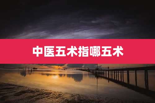 中医五术指哪五术