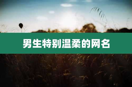 男生特别温柔的网名