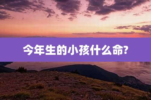 今年生的小孩什么命?