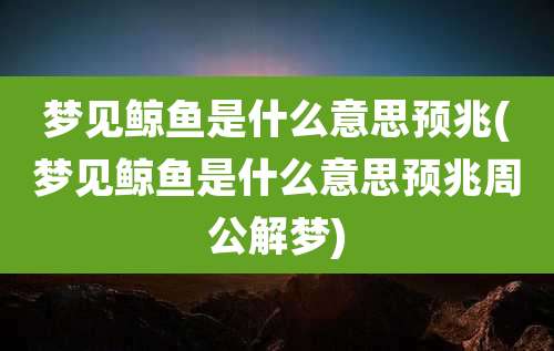 梦见鲸鱼是什么意思预兆(梦见鲸鱼是什么意思预兆周公解梦)