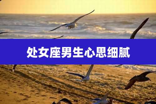 处女座男生心思细腻