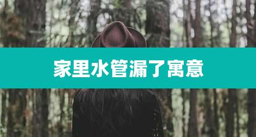 家里水管漏了寓意