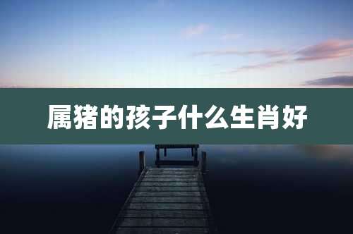 属猪的孩子什么生肖好