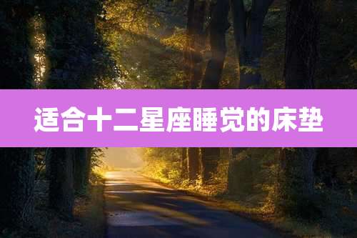 适合十二星座睡觉的床垫