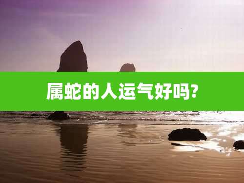 属蛇的人运气好吗?