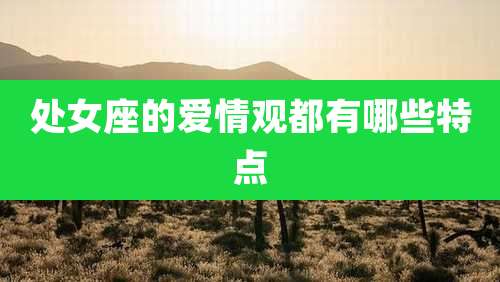 处女座的爱情观都有哪些特点