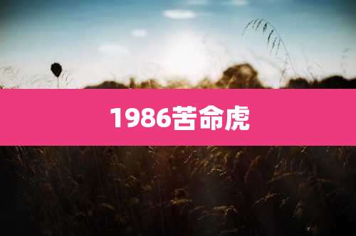 1986苦命虎