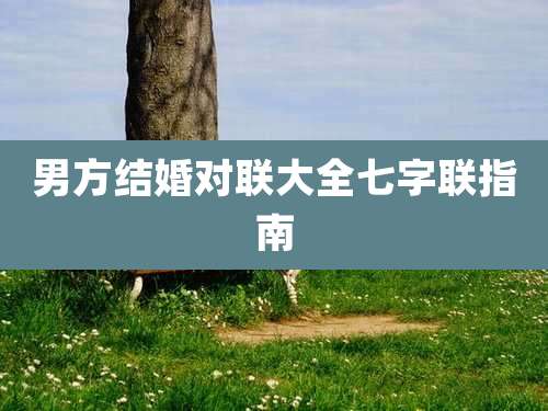 男方结婚对联大全七字联指南