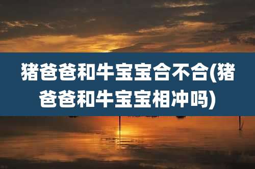 猪爸爸和牛宝宝合不合(猪爸爸和牛宝宝相冲吗)