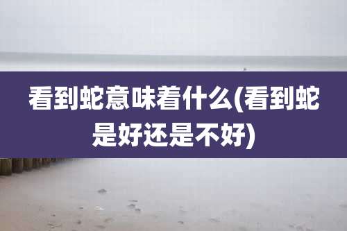 看到蛇意味着什么(看到蛇是好还是不好)