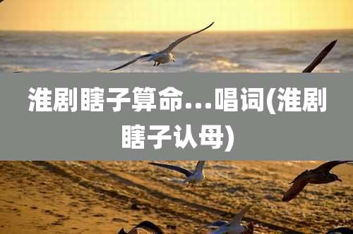 淮剧瞎子算命...唱词(淮剧瞎子认母)