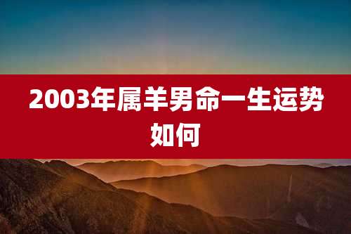 2003年属羊男命一生运势如何