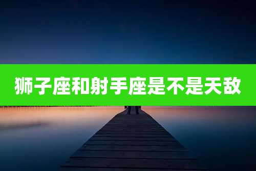 狮子座和射手座是不是天敌
