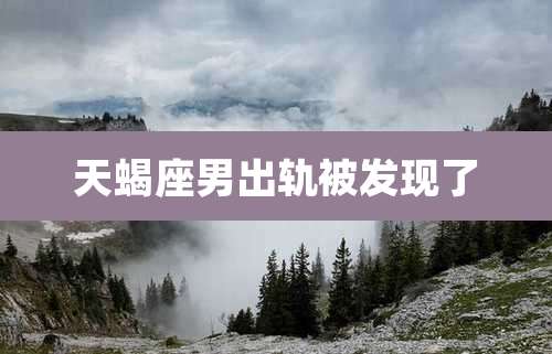 天蝎座男出轨被发现了