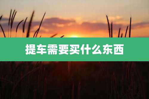 提车需要买什么东西