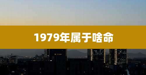 1979年属于啥命