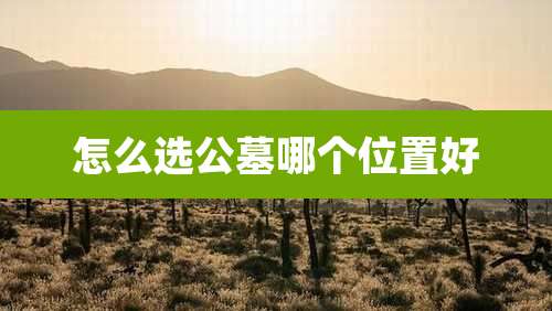 怎么选公墓哪个位置好