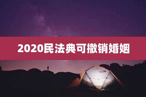 2020民法典可撤销婚姻