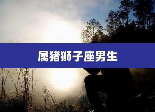 属猪狮子座男生