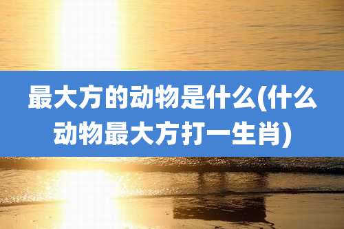 最大方的动物是什么(什么动物最大方打一生肖)