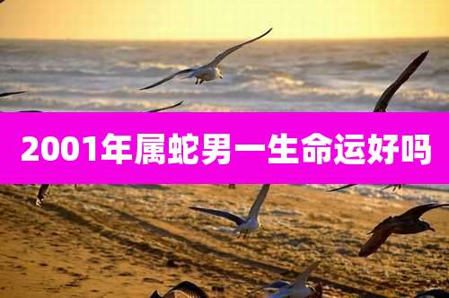 2001年属蛇男一生命运好吗