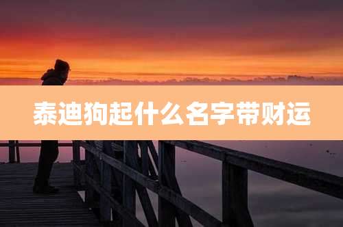 泰迪狗起什么名字带财运