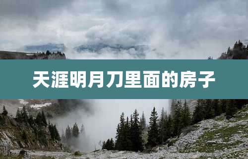 天涯明月刀里面的房子