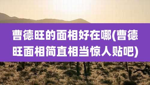 曹德旺的面相好在哪(曹德旺面相简直相当惊人贴吧)
