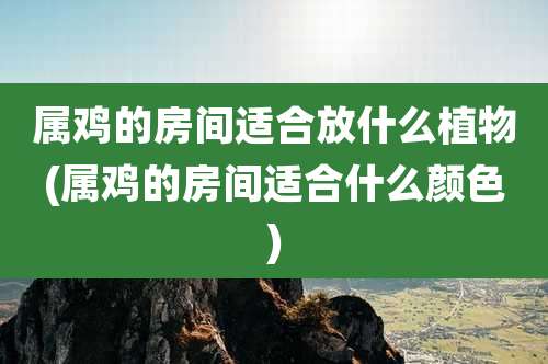 属鸡的房间适合放什么植物(属鸡的房间适合什么颜色)