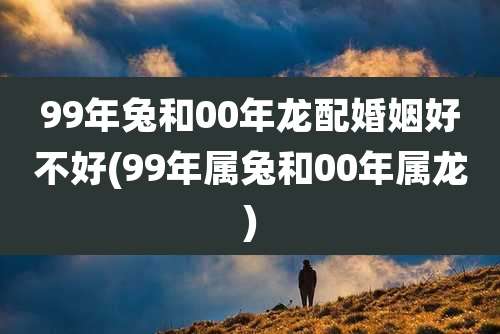 99年兔和00年龙配婚姻好不好(99年属兔和00年属龙)