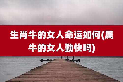 生肖牛的女人命运如何(属牛的女人勤快吗)