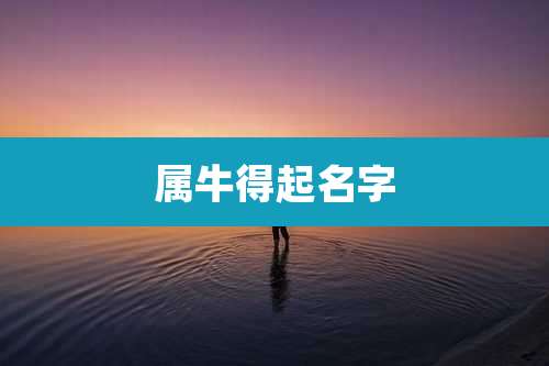 属牛得起名字