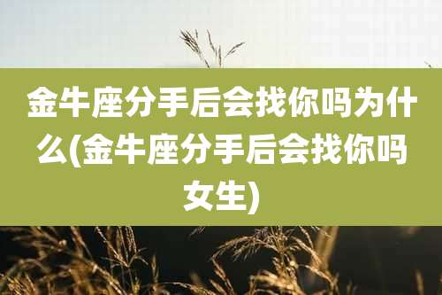 金牛座分手后会找你吗为什么(金牛座分手后会找你吗女生)