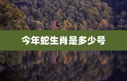 今年蛇生肖是多少号